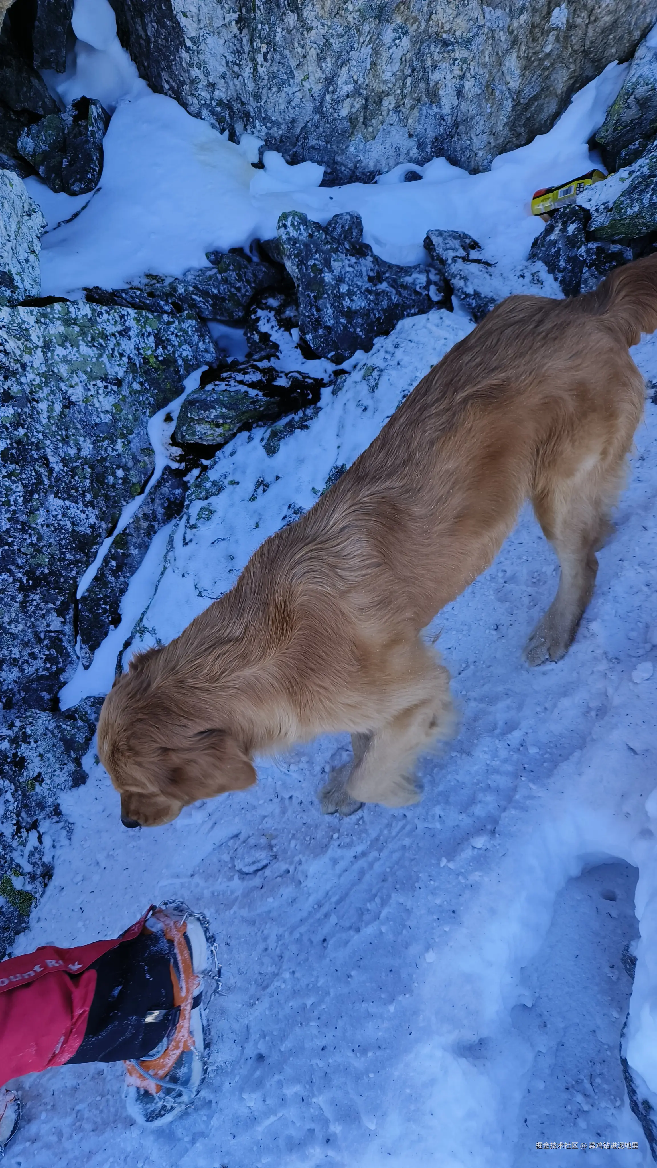 菜鸡钻进泥地里于2025-11-17 09:24发布的图片