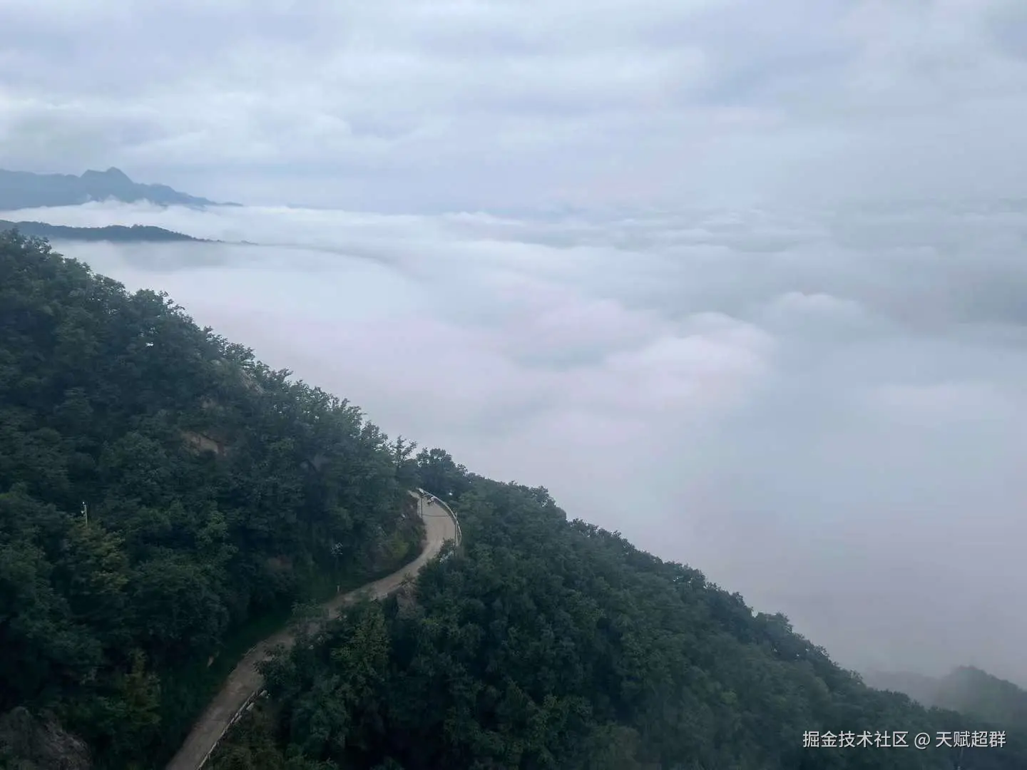 天赋超群于2024-09-19 11:34发布的图片