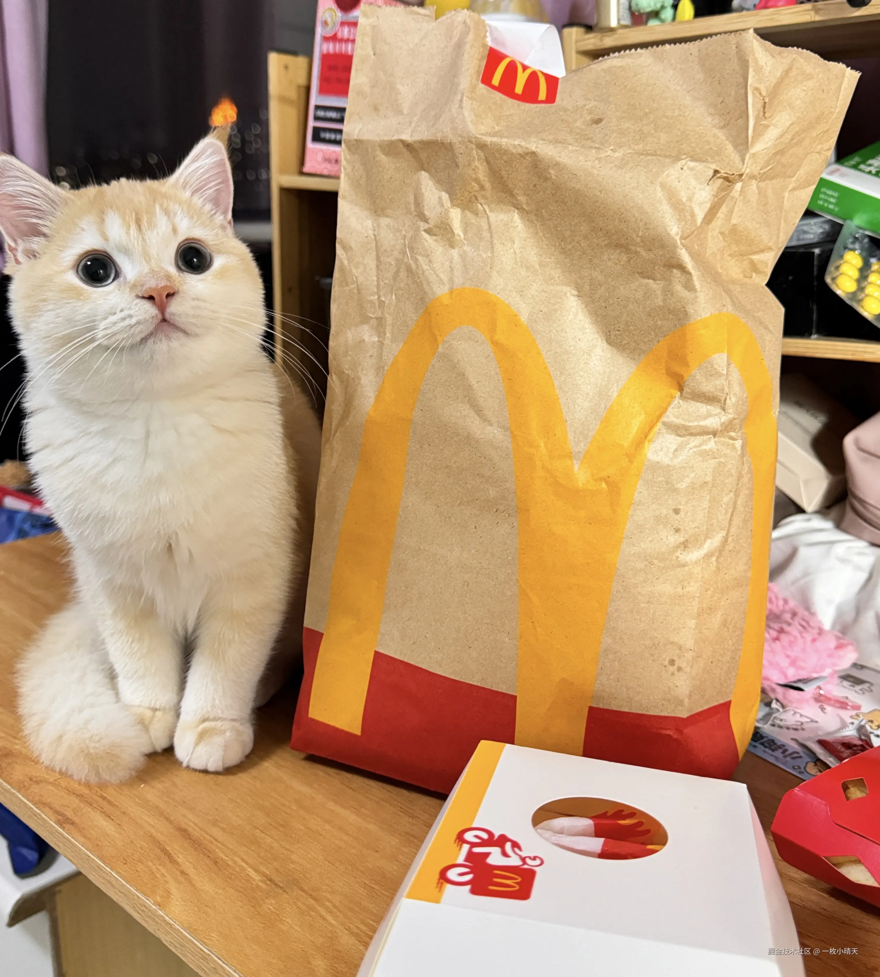 一枚小晴天于2024-11-27 17:31发布的图片