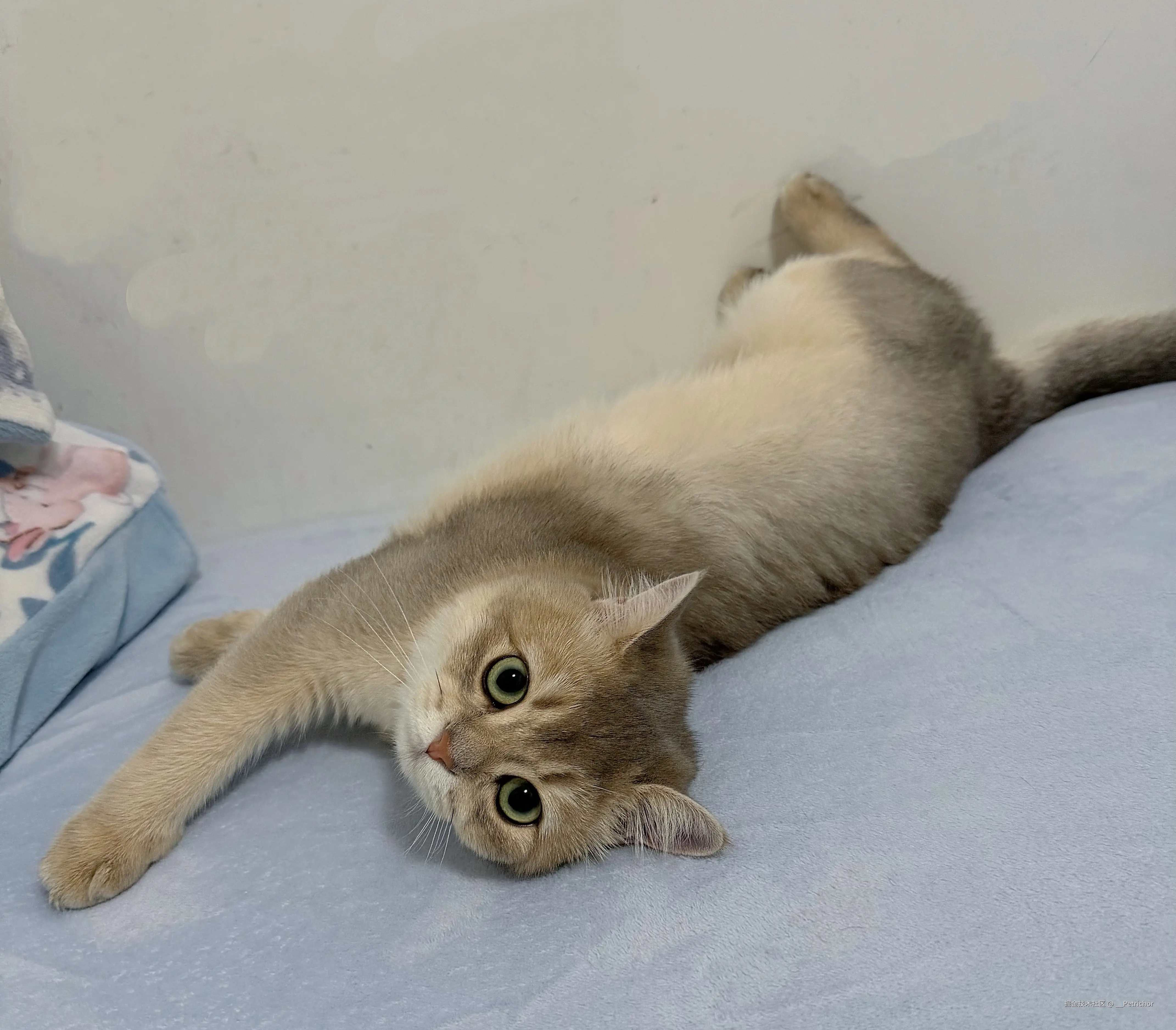 __Petrichor于2026-01-23 14:45发布的图片