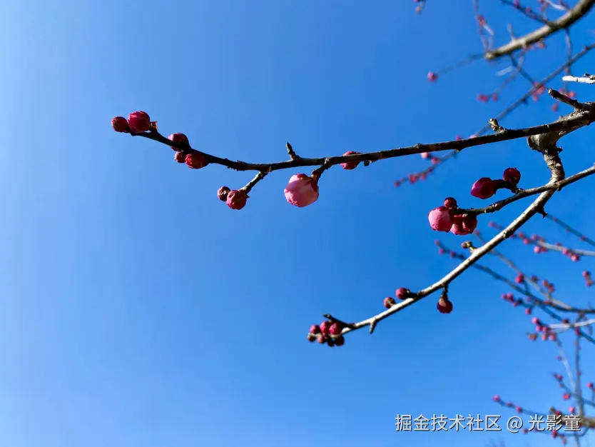 光影童于2026-01-06 13:53发布的图片