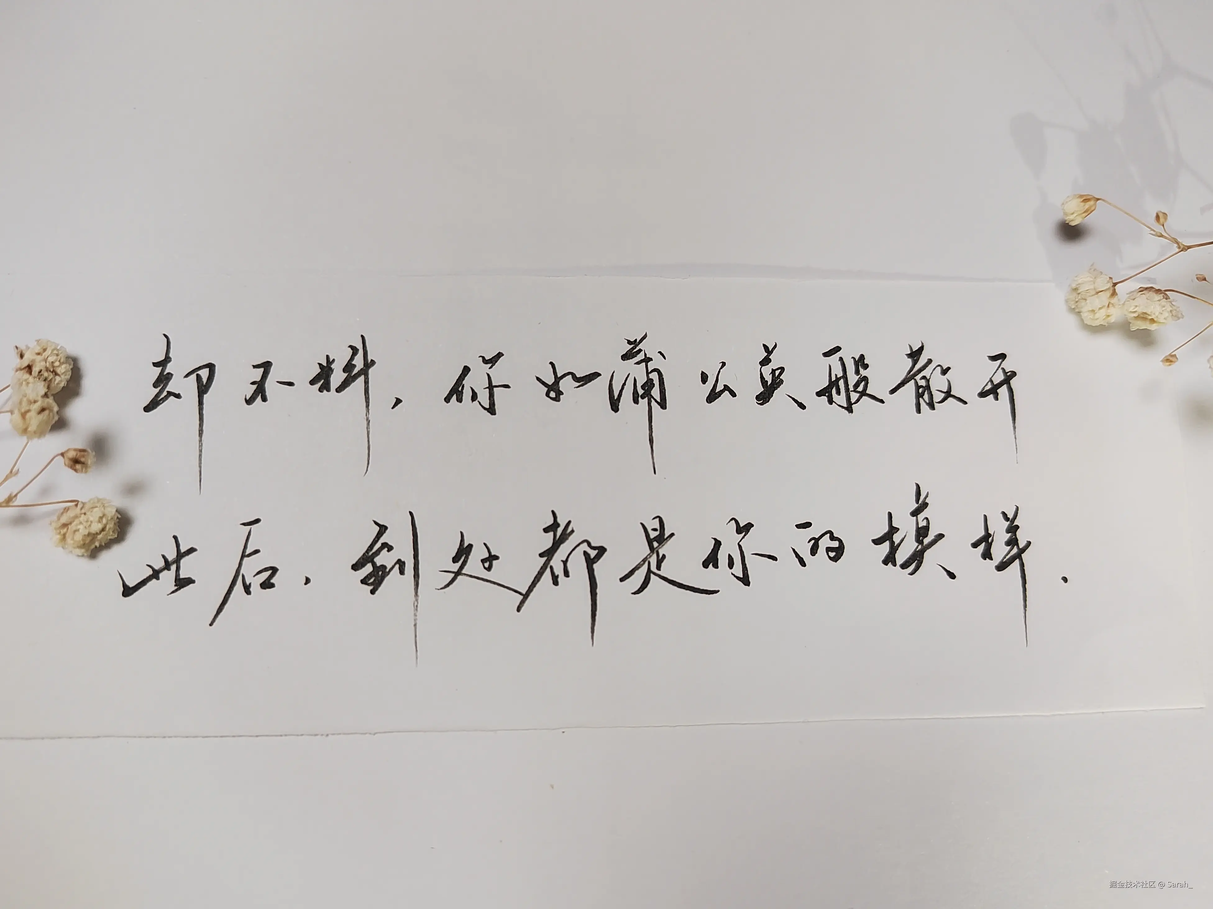 Sarah_于2024-10-30 13:56发布的图片