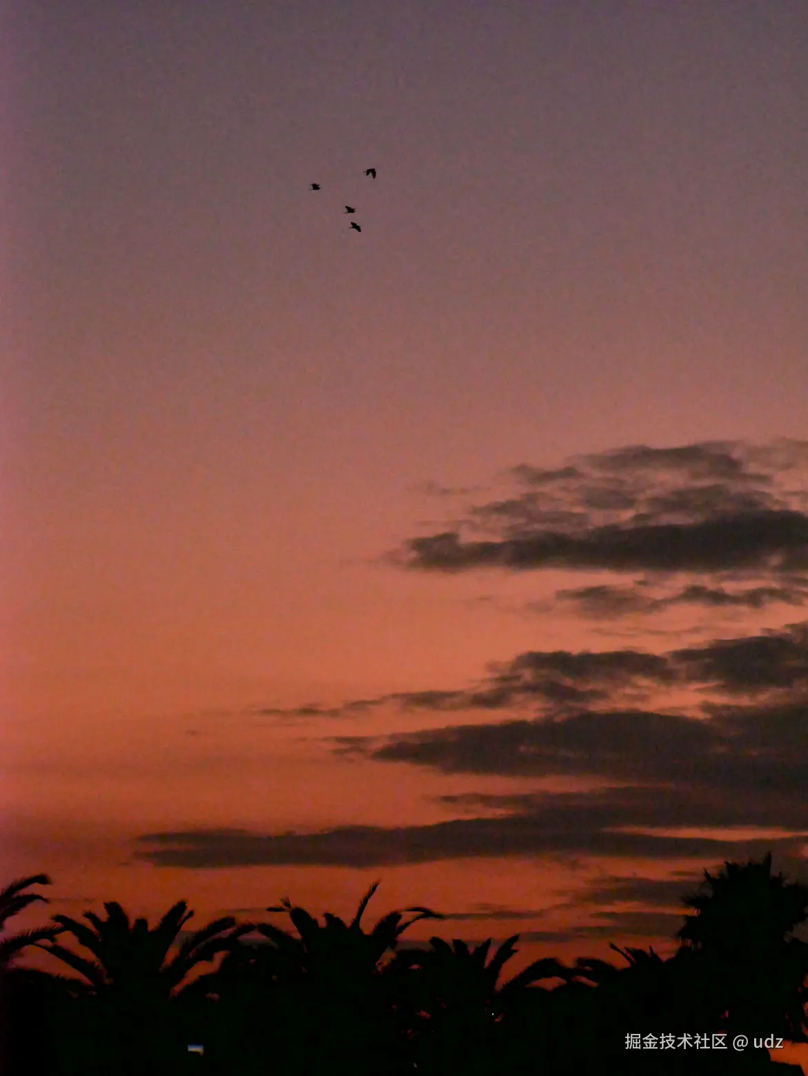 udz于2024-10-26 10:35发布的图片