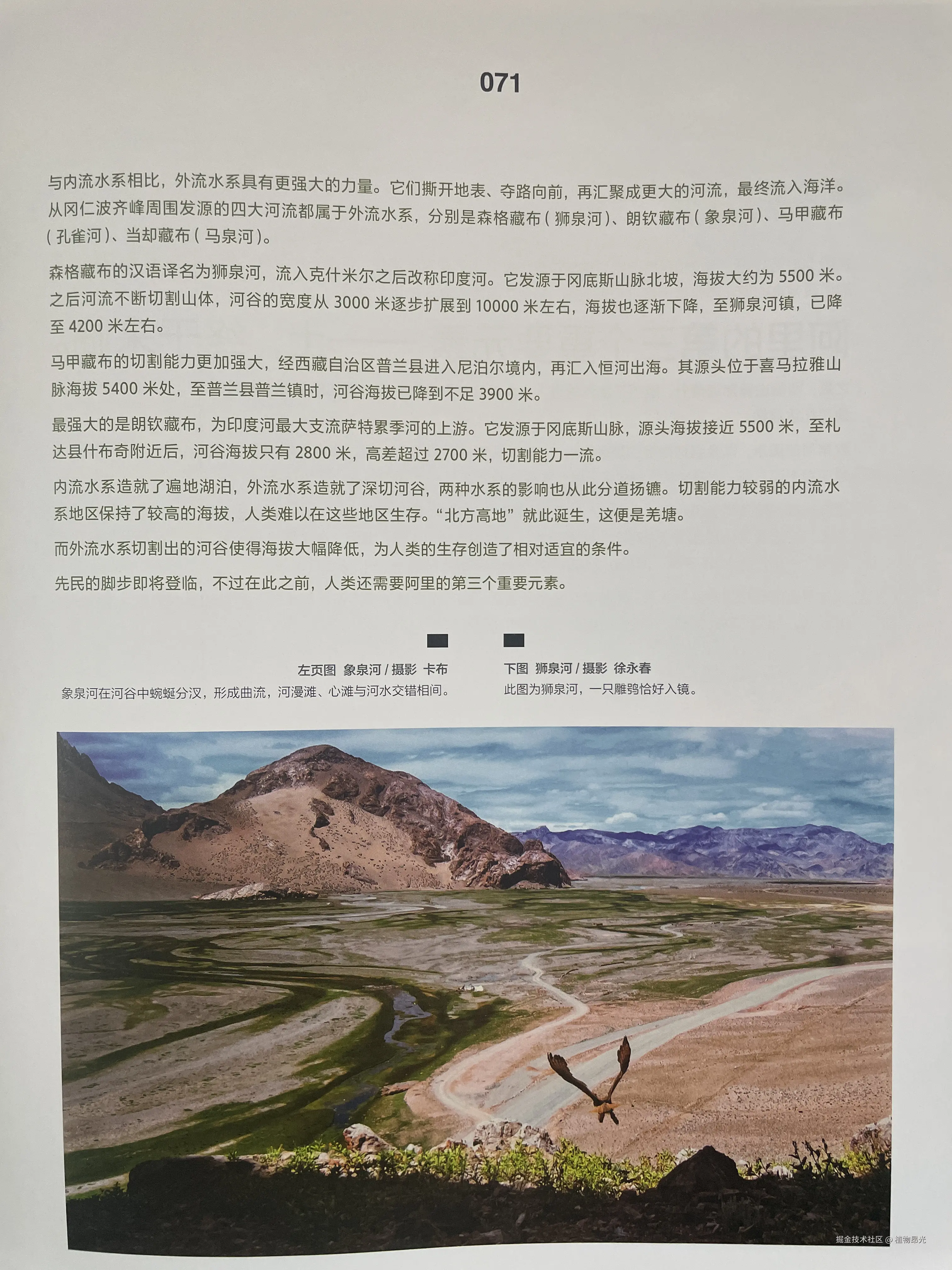 植物昂光于2026-02-08 14:39发布的图片