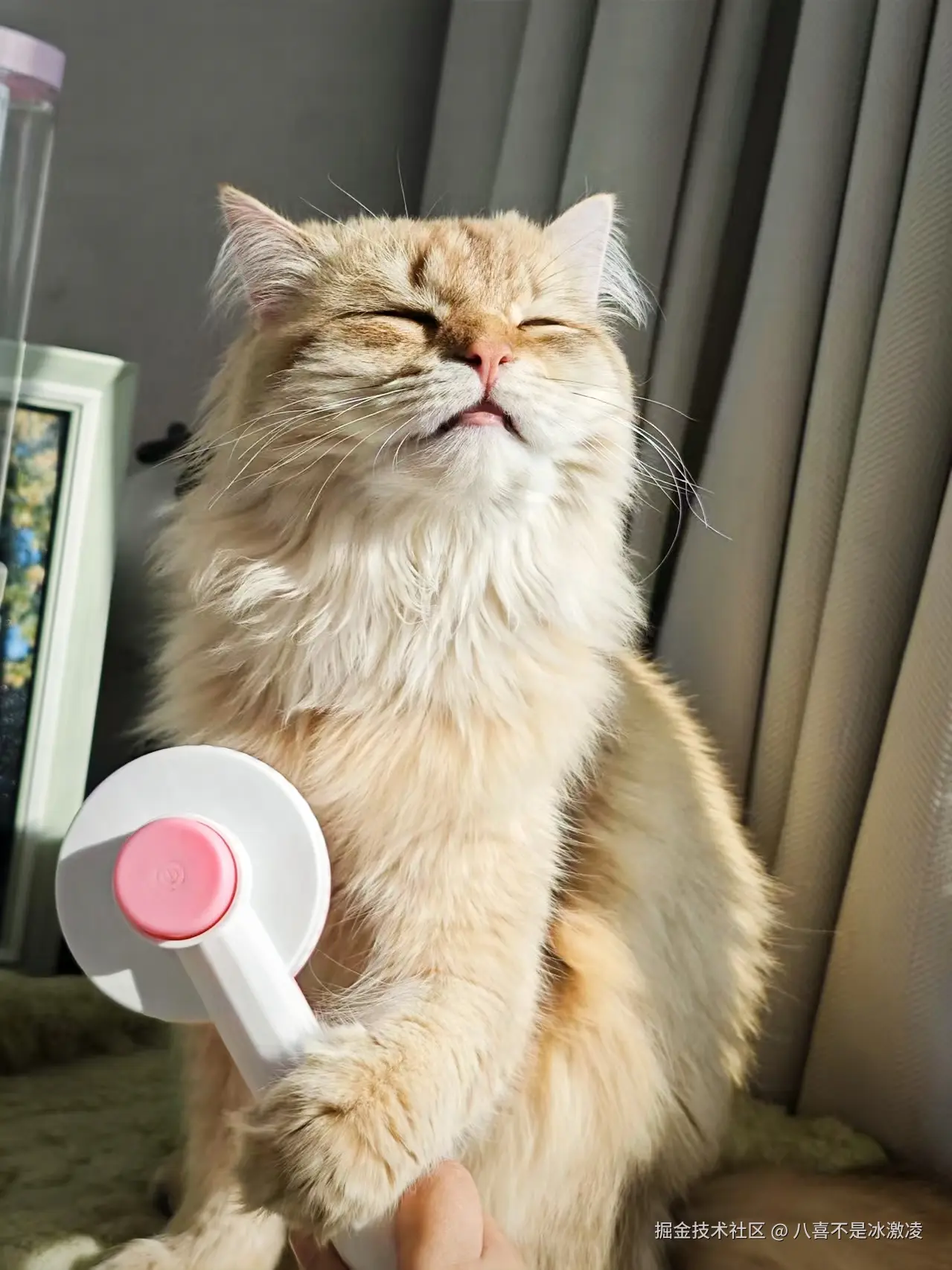 八喜不是冰激凌于2025-06-26 15:57发布的图片