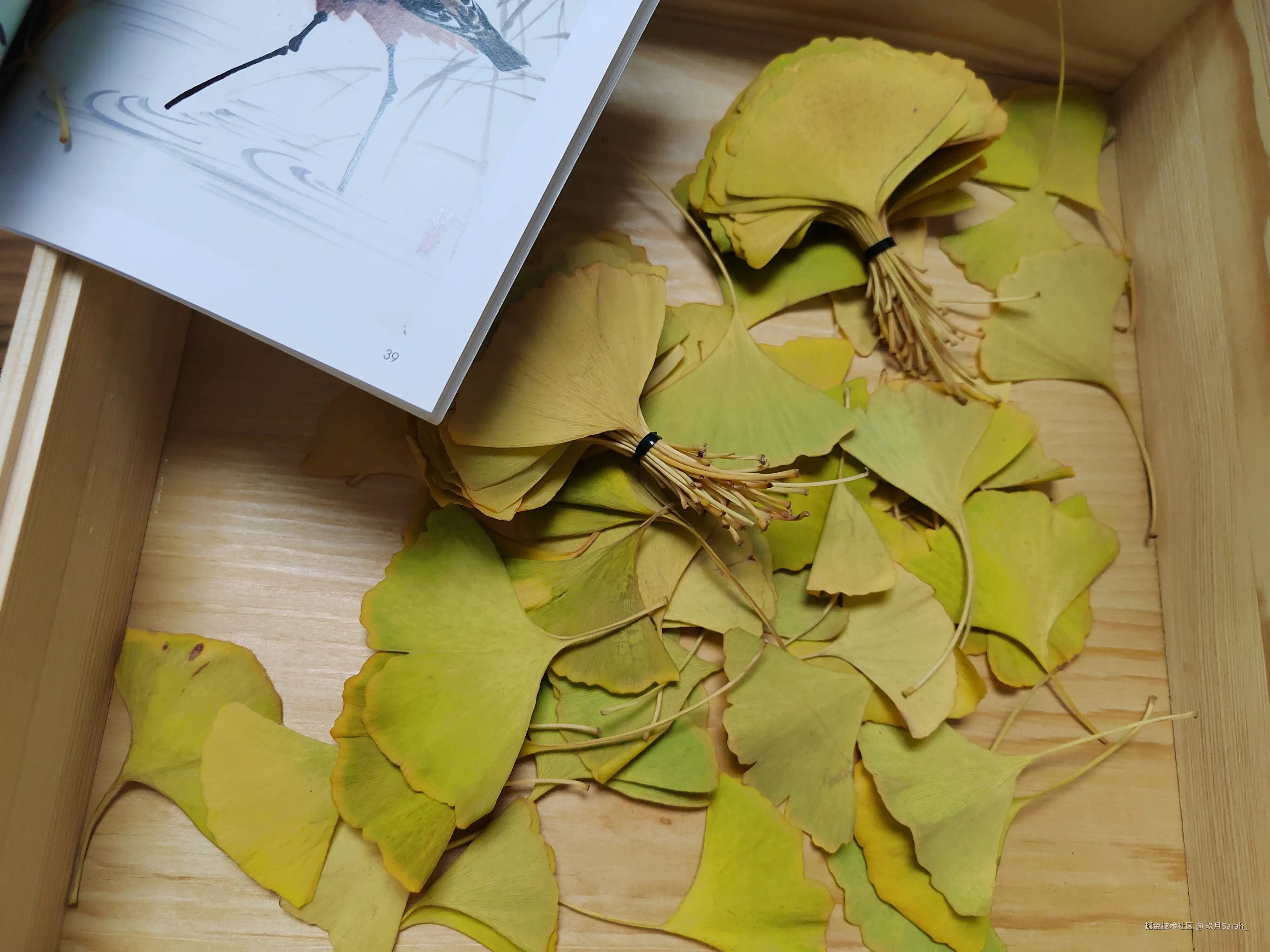 玖月Sarah_于2024-10-30 13:56发布的图片