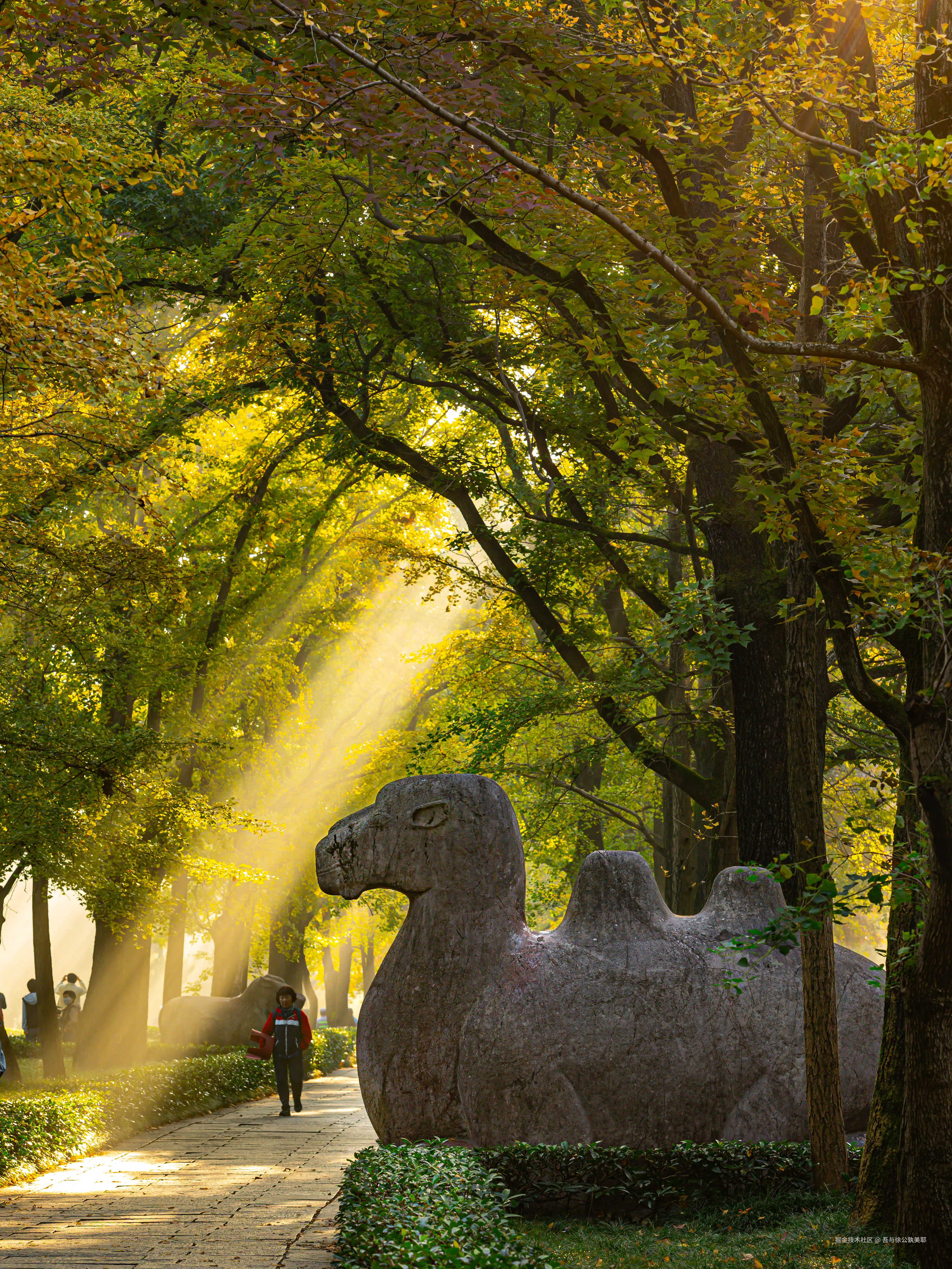 吾与徐公孰美耶于2024-11-05 10:05发布的图片