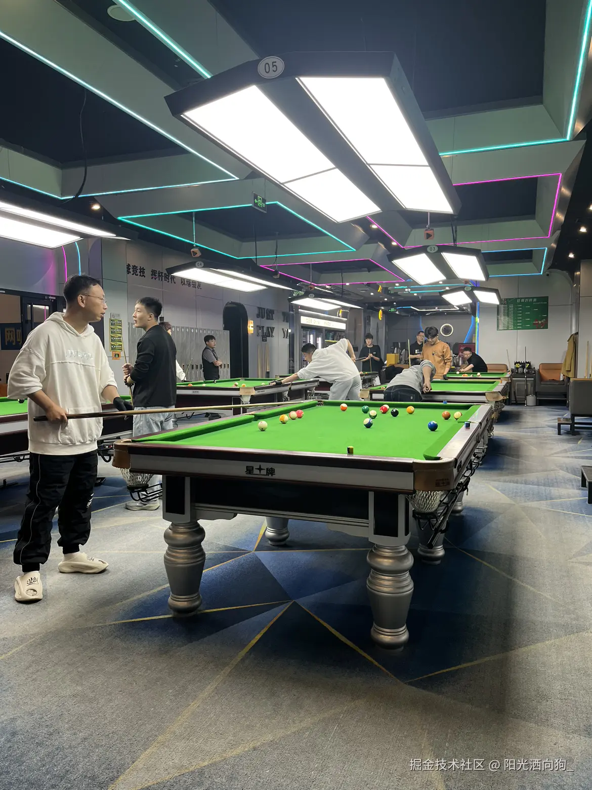 阳光洒向狗_于2024-11-04 02:32发布的图片