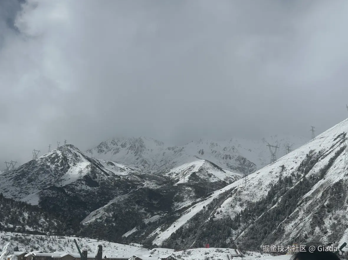 Giadat于2024-12-02 10:48发布的图片