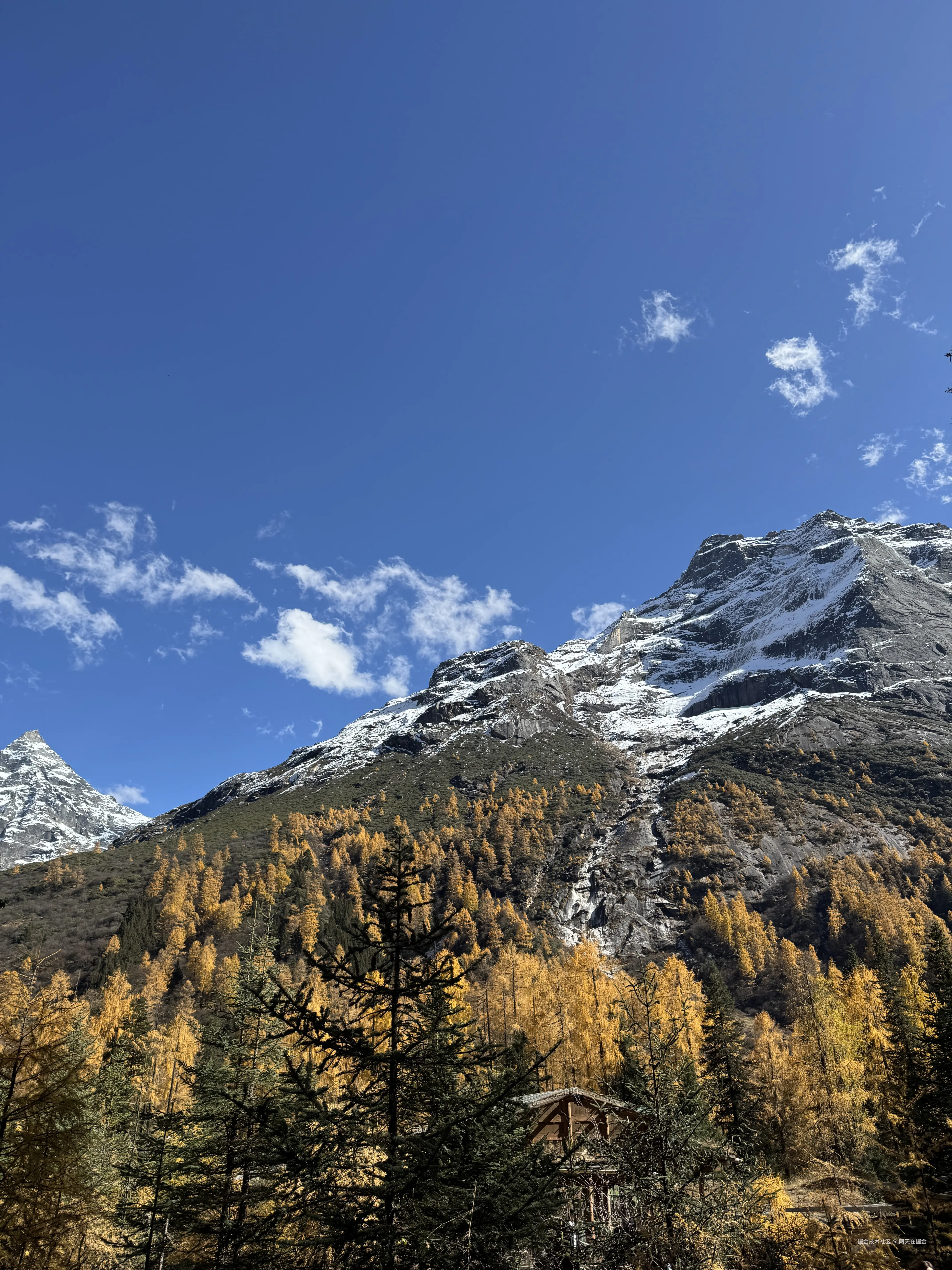 阿天在掘金于2024-11-06 15:00发布的图片