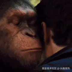 头脑发热于2025-03-21 17:20发布的图片