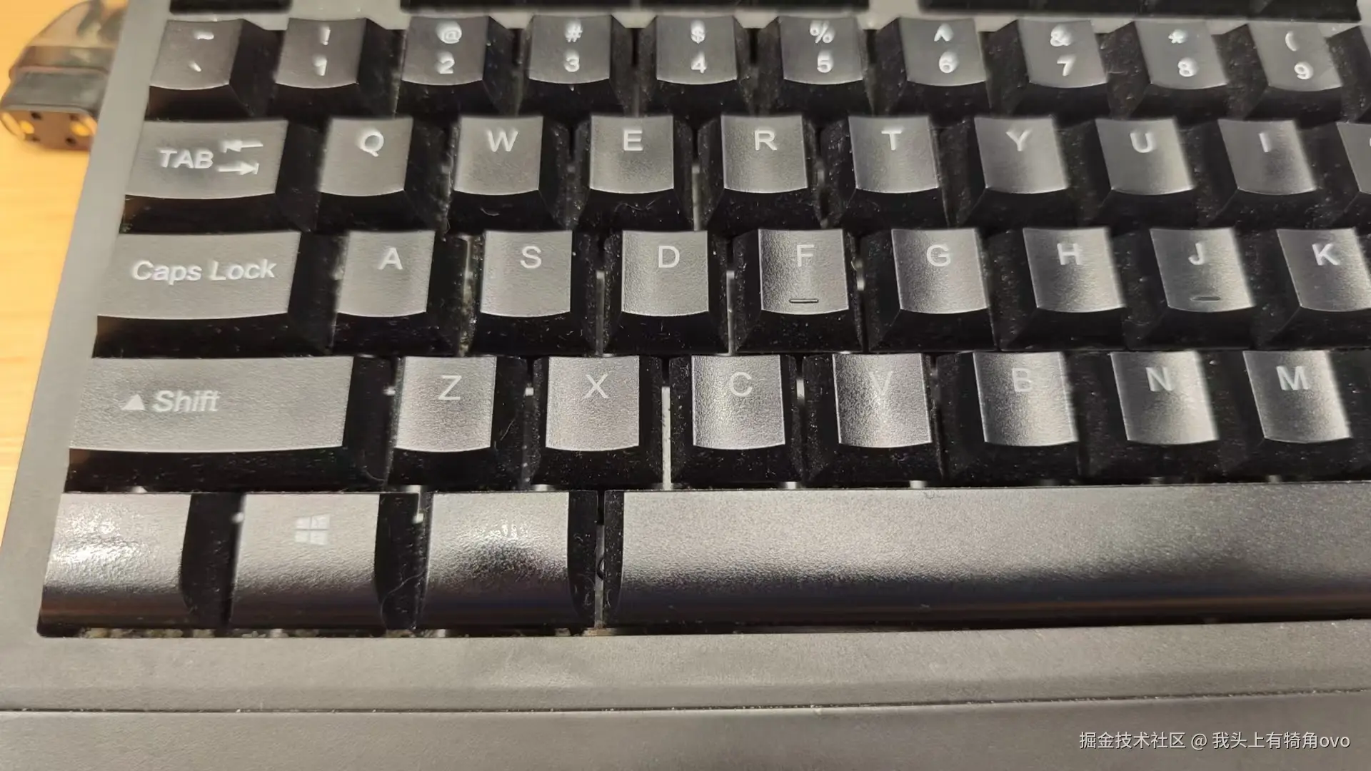 我头上有犄角ovo于2025-05-09 09:56发布的图片