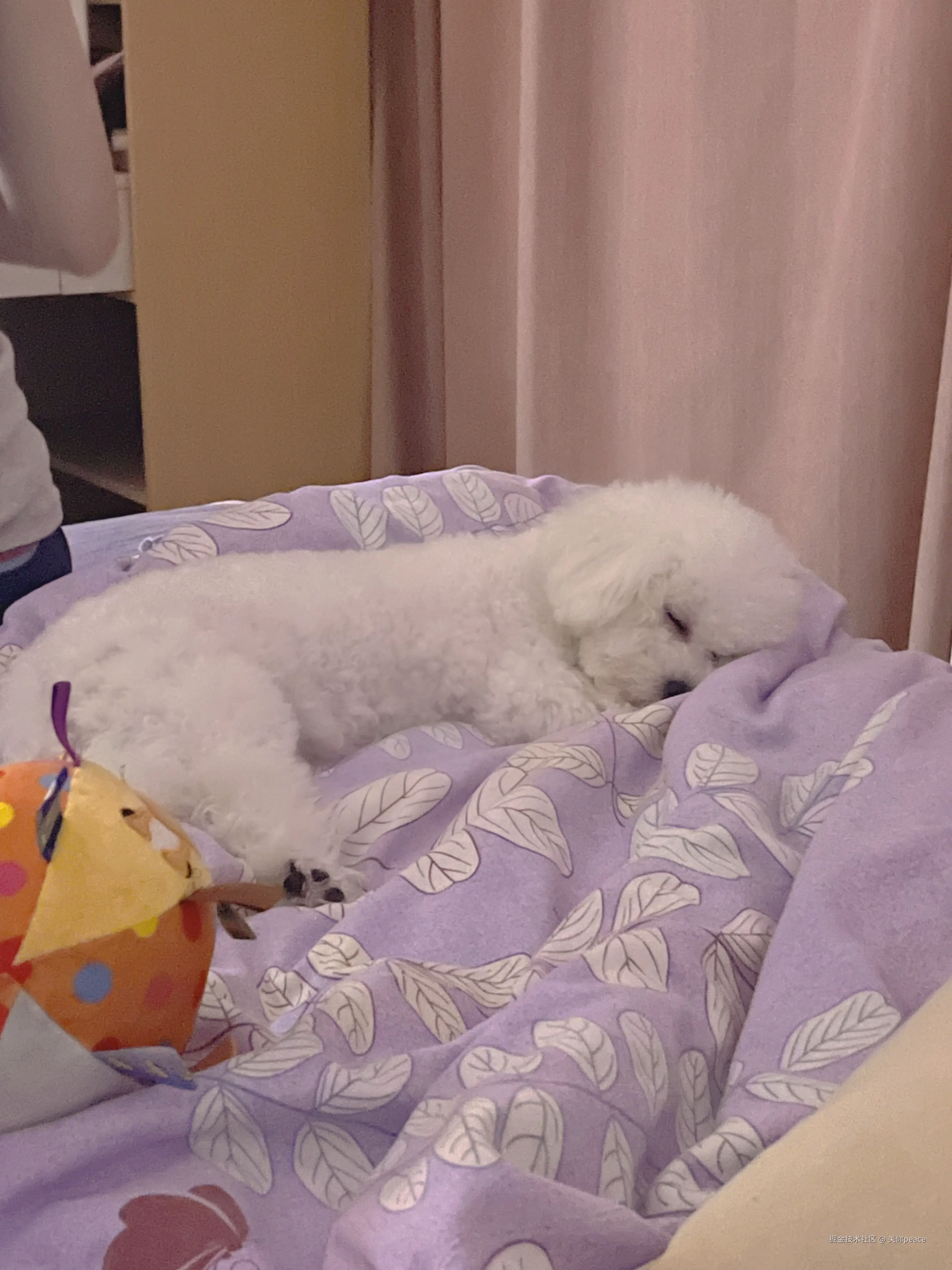 关你peace于2024-10-18 10:20发布的图片