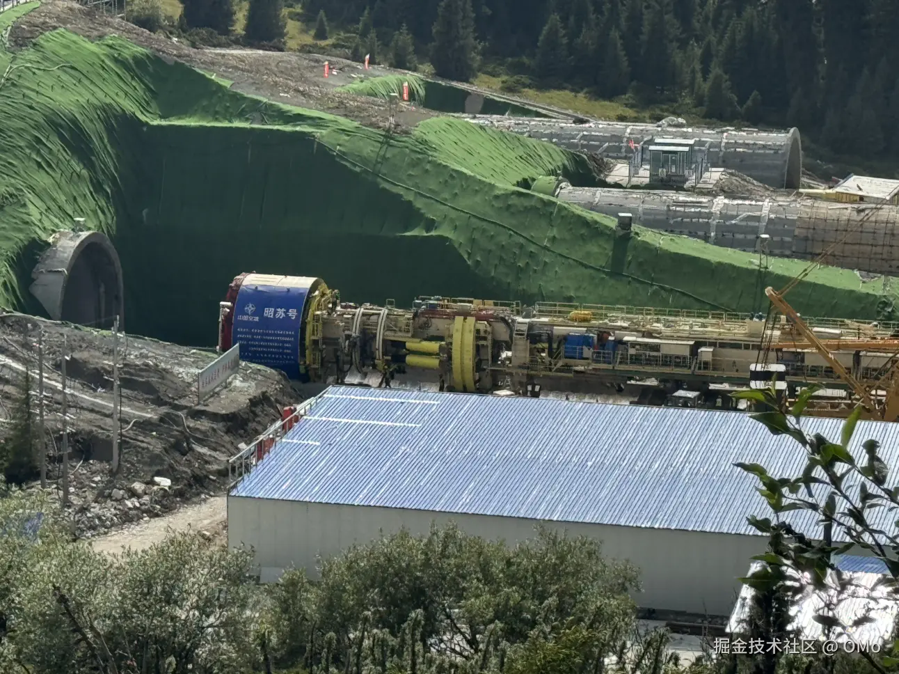 OMo于2026-01-23 09:58发布的图片