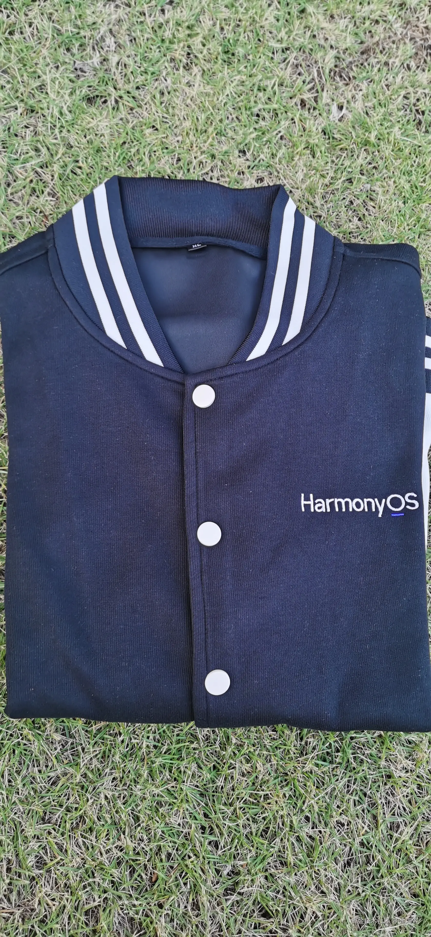 金鸿客于2025-11-03 17:51发布的图片