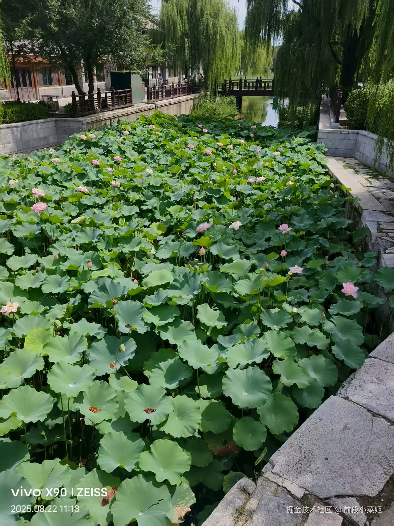 前段小菜姬于2025-08-22 14:06发布的图片