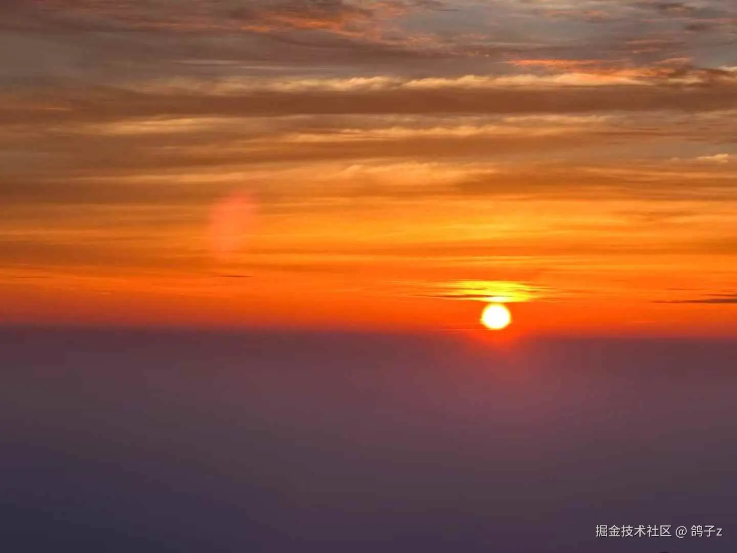 鸽子z于2025-06-04 14:13发布的图片