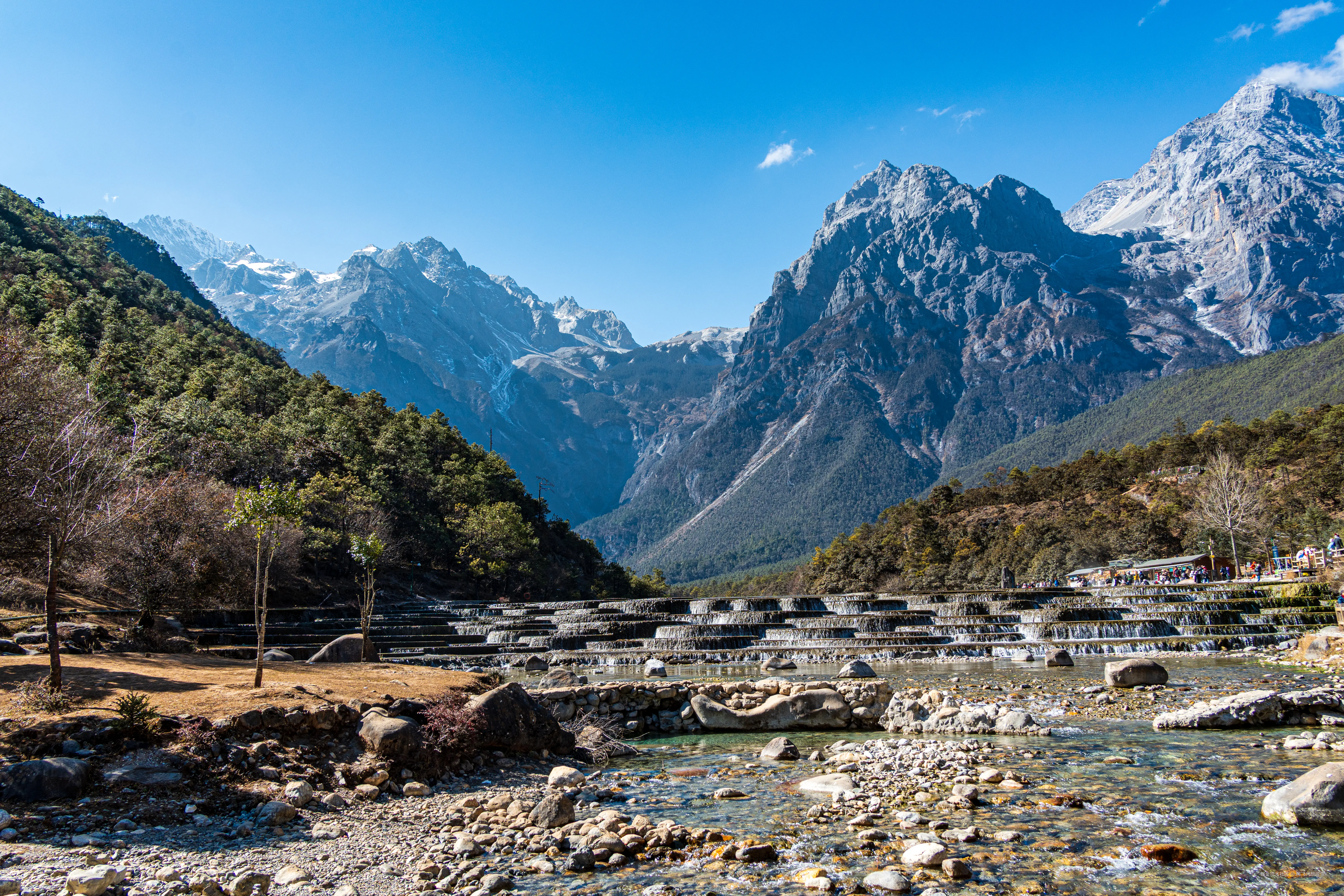 阿飞只想摸鱼于2026-02-11 14:55发布的图片