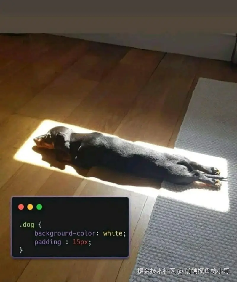 前端摸鱼杭小哥于2025-03-26 09:56发布的图片