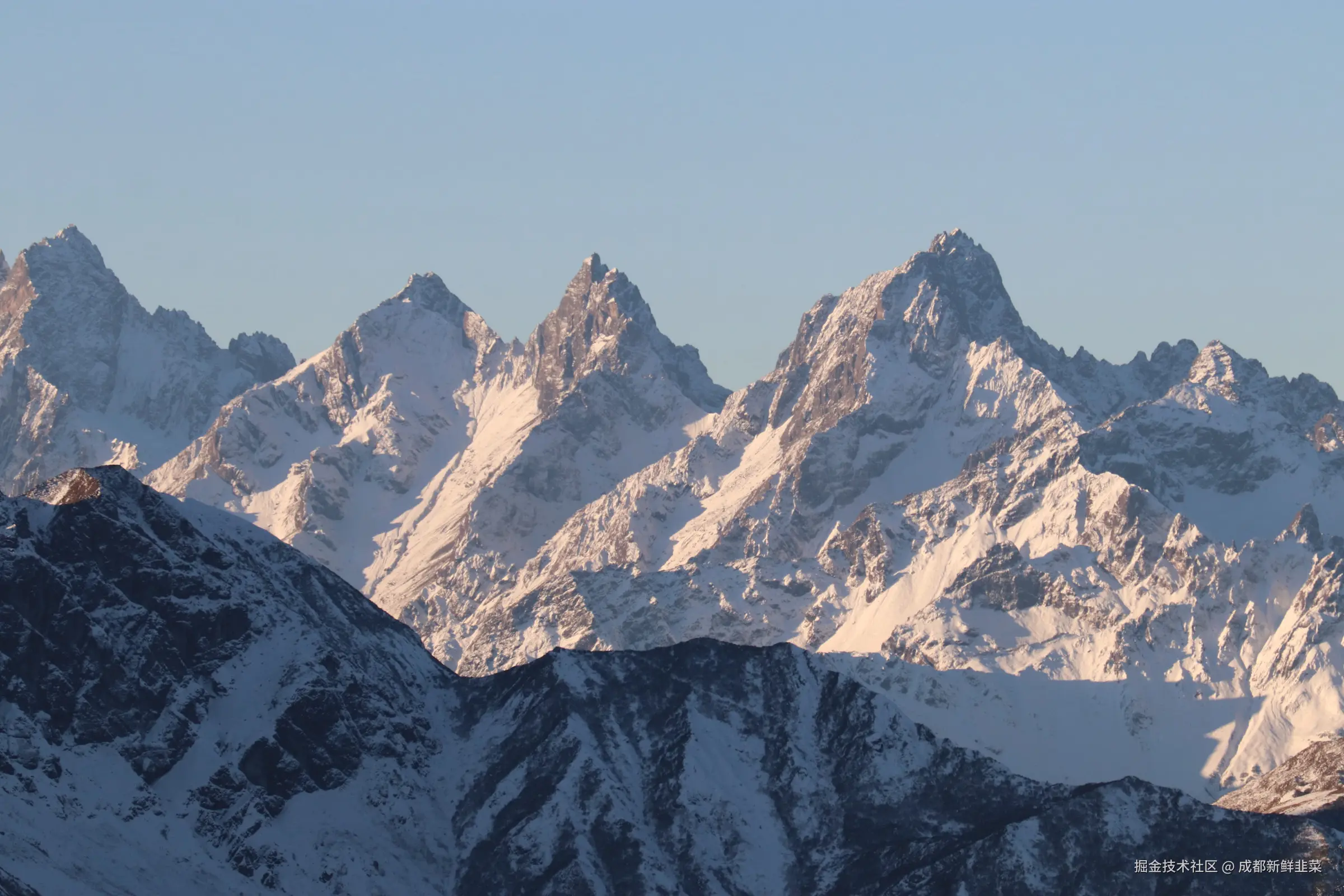 成都新鲜韭菜于2024-12-02 10:02发布的图片