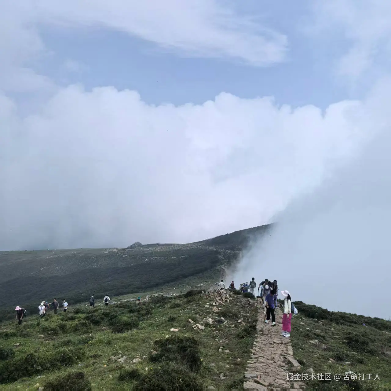 苦命打工人于2025-08-04 15:34发布的图片