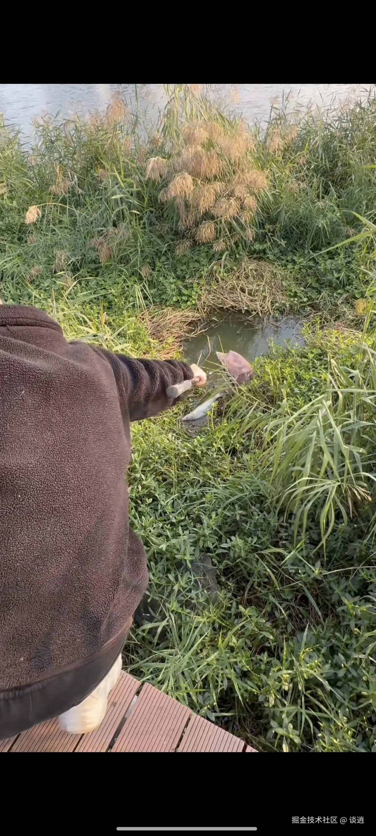 谈逍于2025-11-01 14:14发布的图片