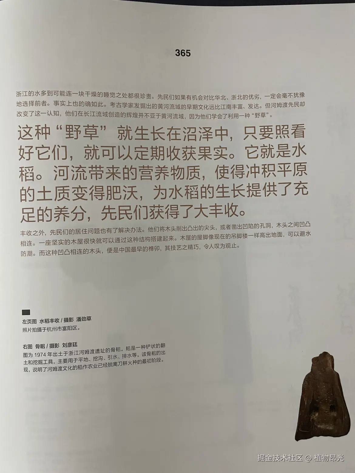 植物昂光于2026-04-15 21:56发布的图片