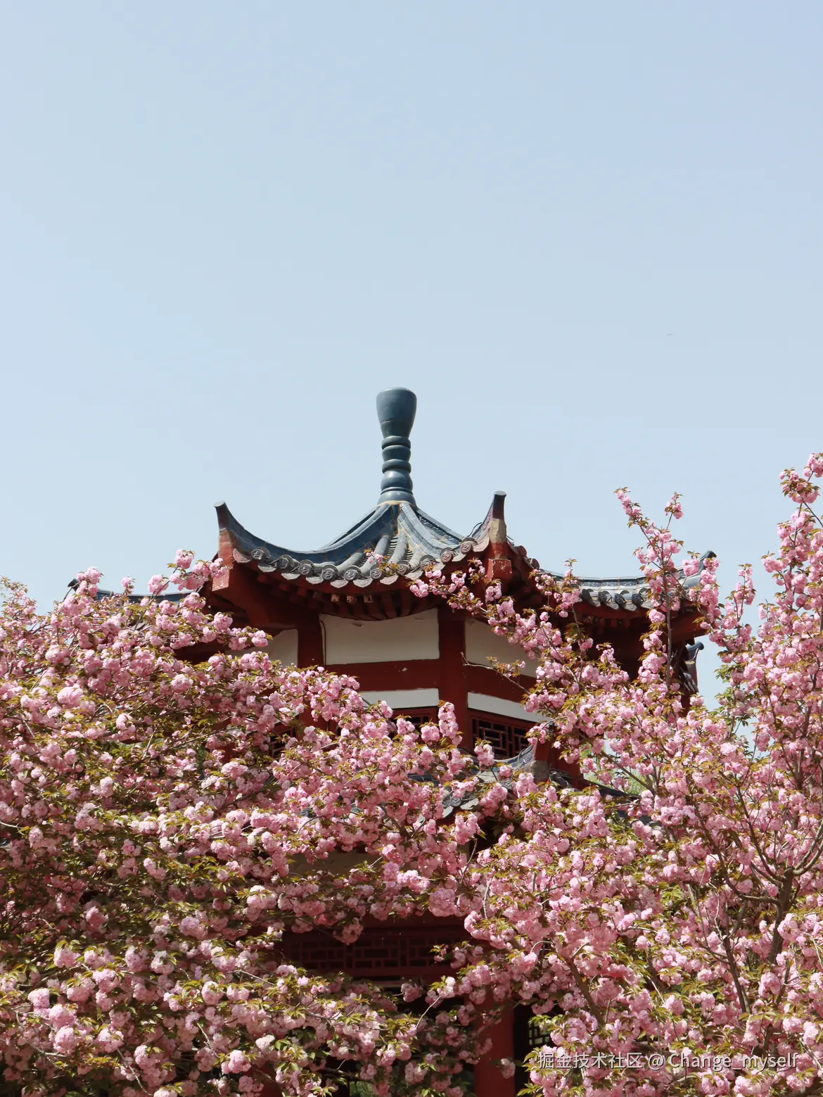 Change_myself于2025-04-07 14:42发布的图片