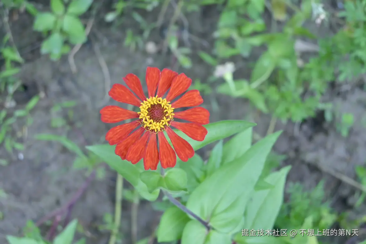 不想上班的第N天于2025-07-21 10:37发布的图片