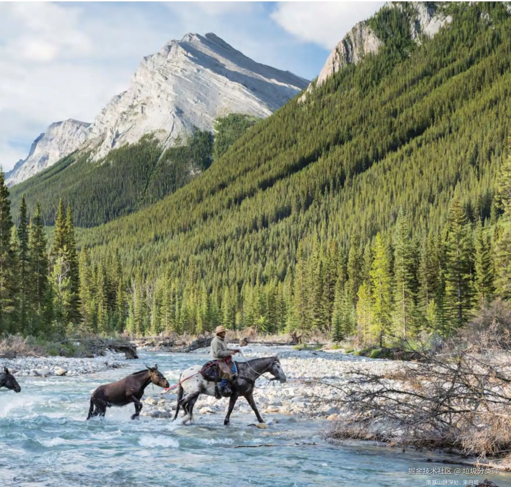 垃圾分类师于2025-01-26 13:03发布的图片