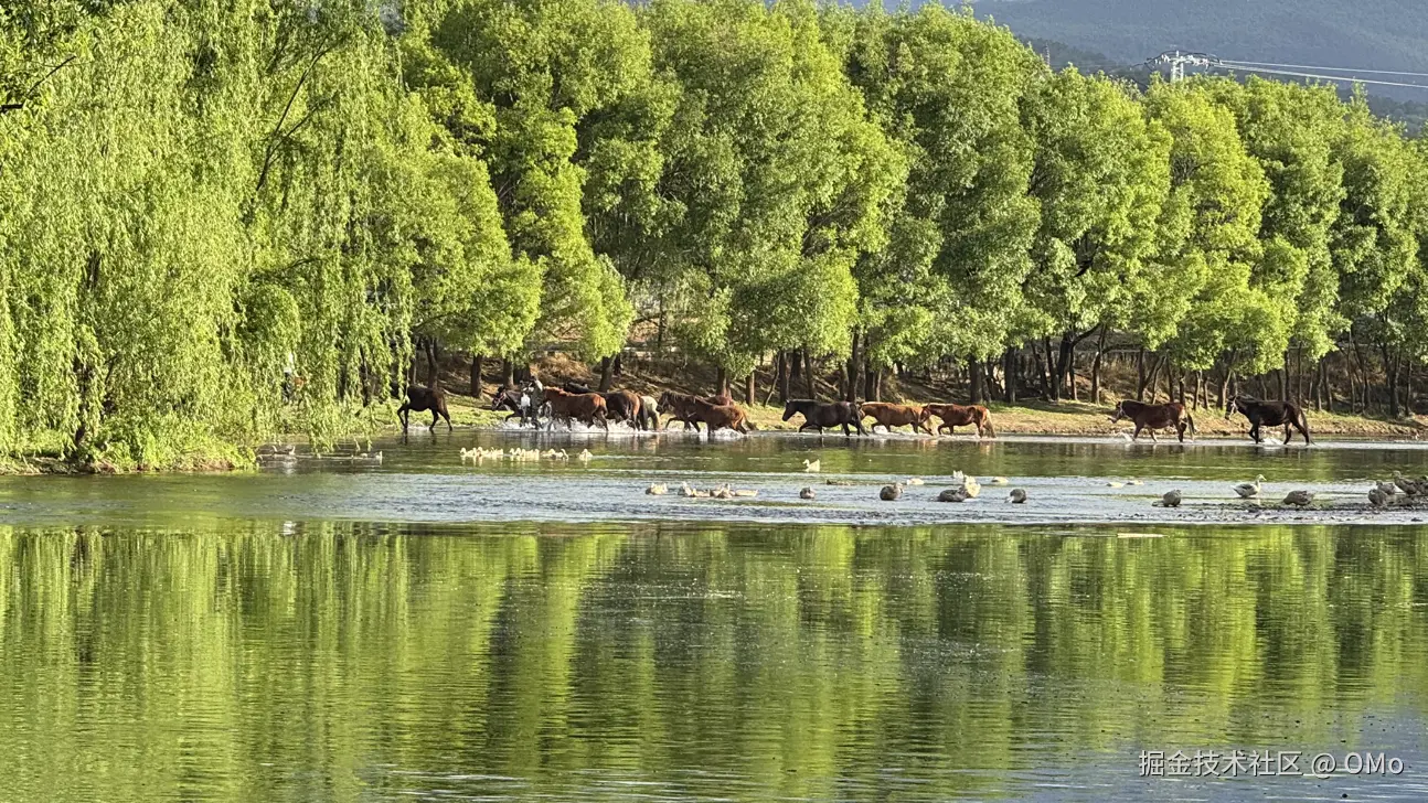 OMo于2026-04-16 11:42发布的图片