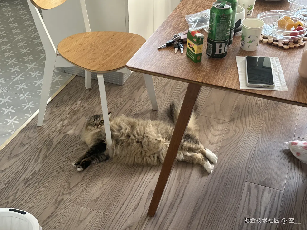 空__于2025-04-27 13:56发布的图片