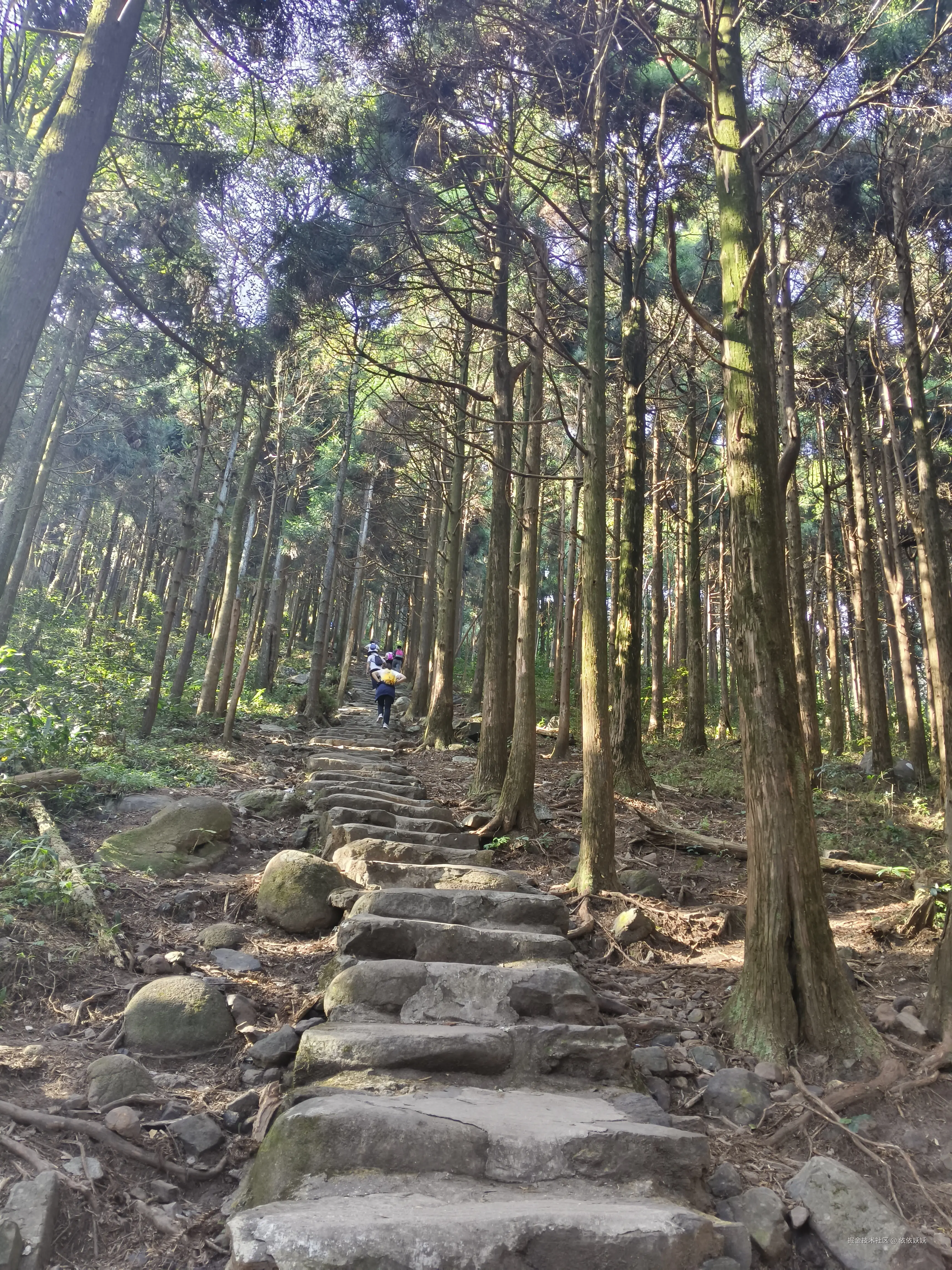 依依妖妖于2024-10-26 12:55发布的图片