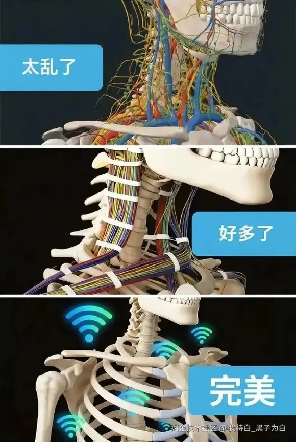 我持白_黑子为白于2026-02-28 15:46发布的图片