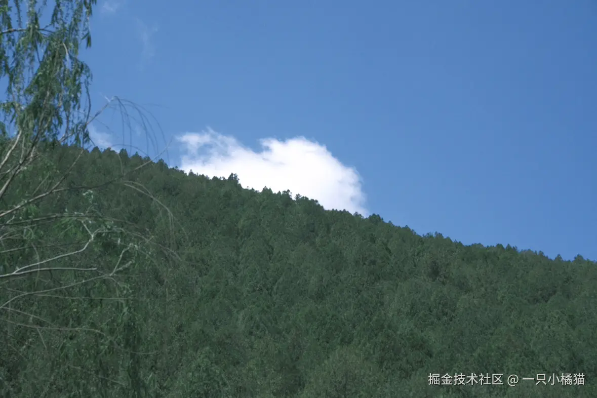 一只小橘猫于2025-05-12 12:13发布的图片