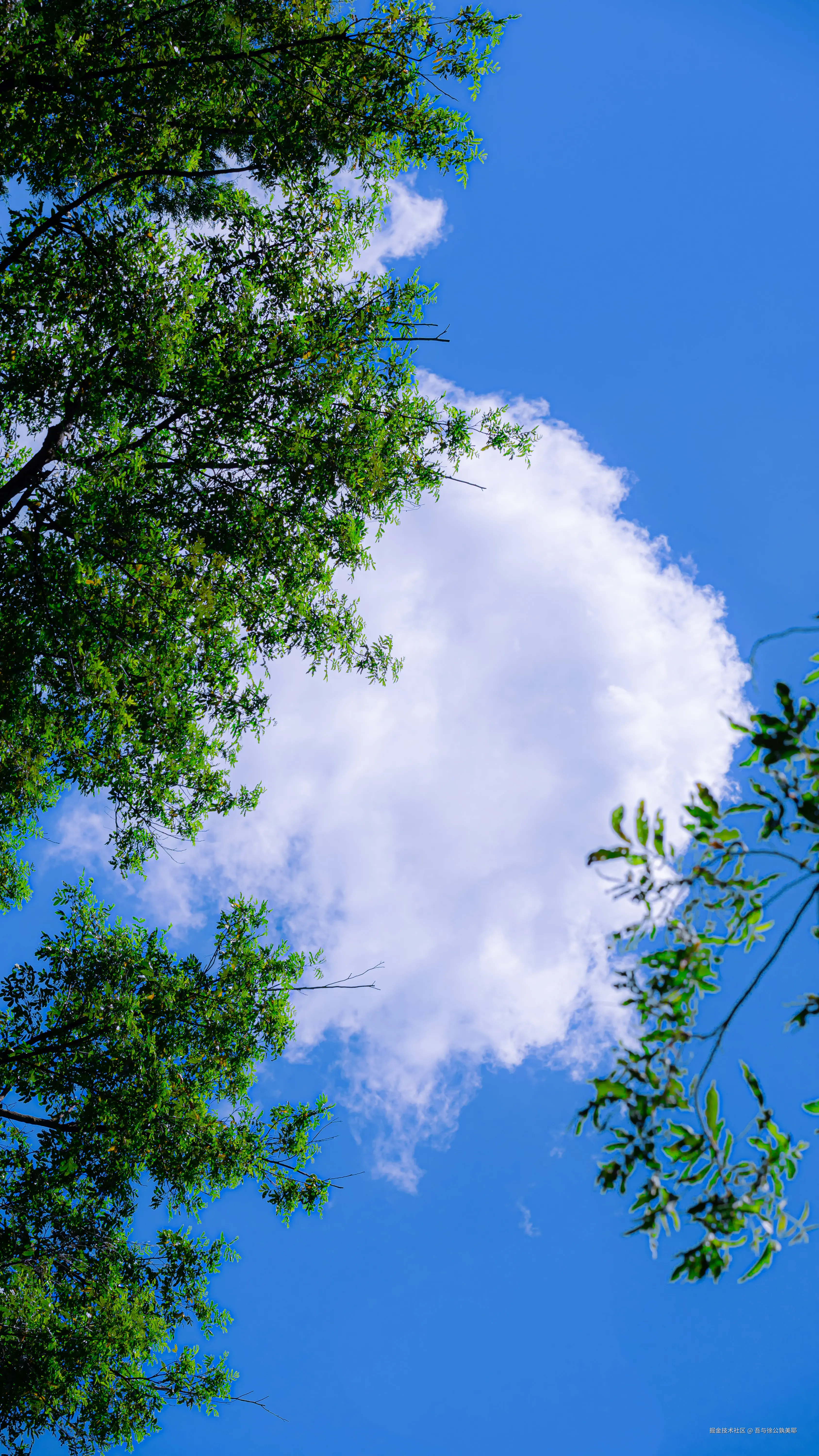 吾与徐公孰美耶于2024-08-09 10:00发布的图片