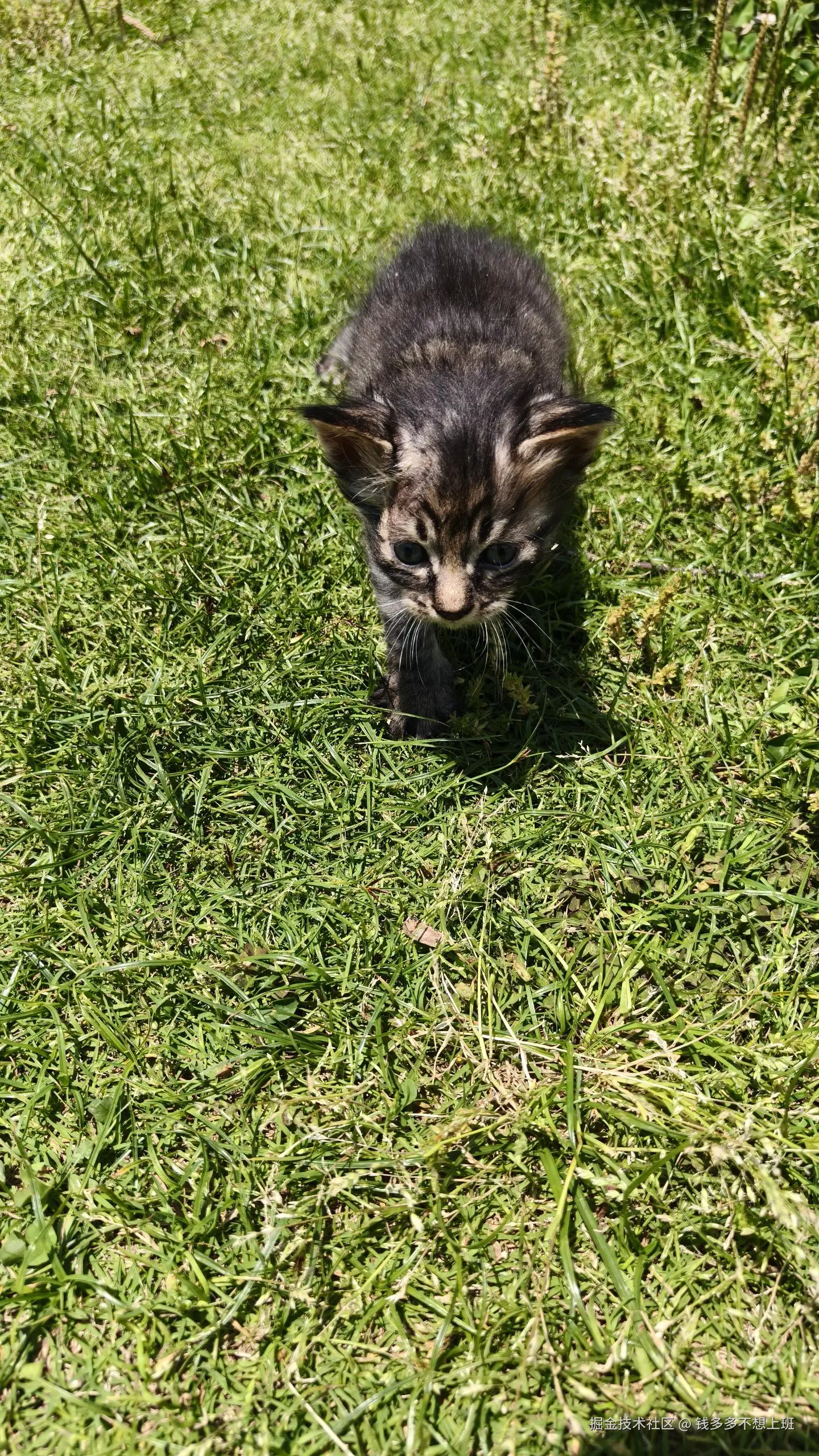 钱多多不想上班于2025-05-12 13:53发布的图片