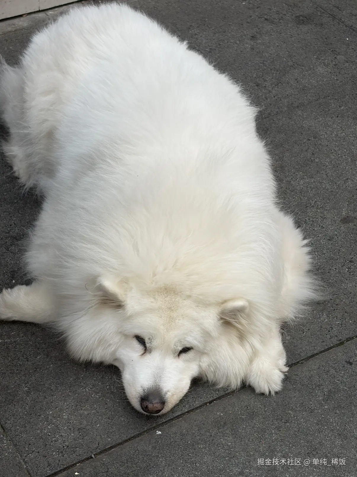 单纯_稀饭于2026-03-28 14:47发布的图片