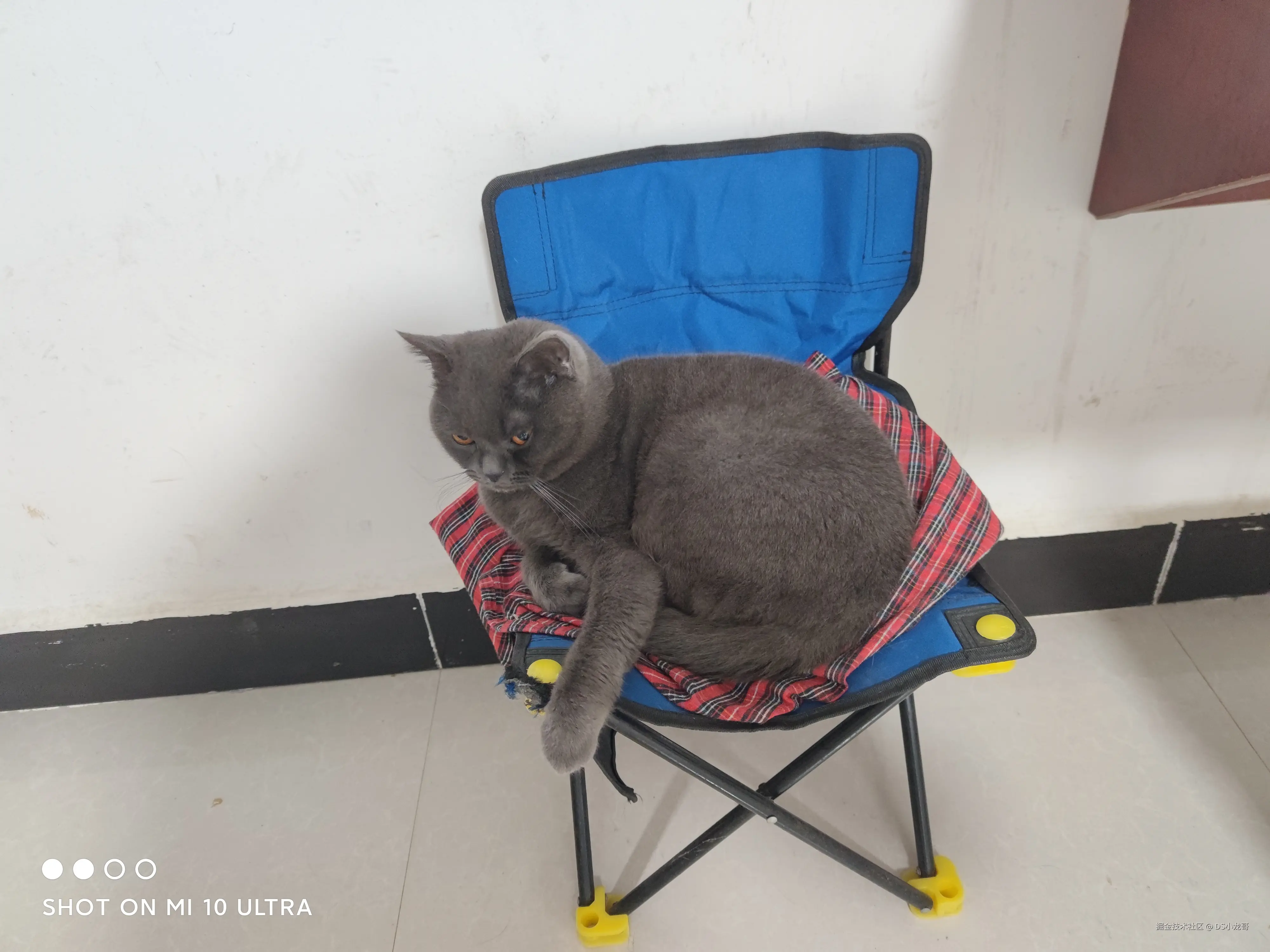 DS小龙哥于2025-07-14 15:26发布的图片