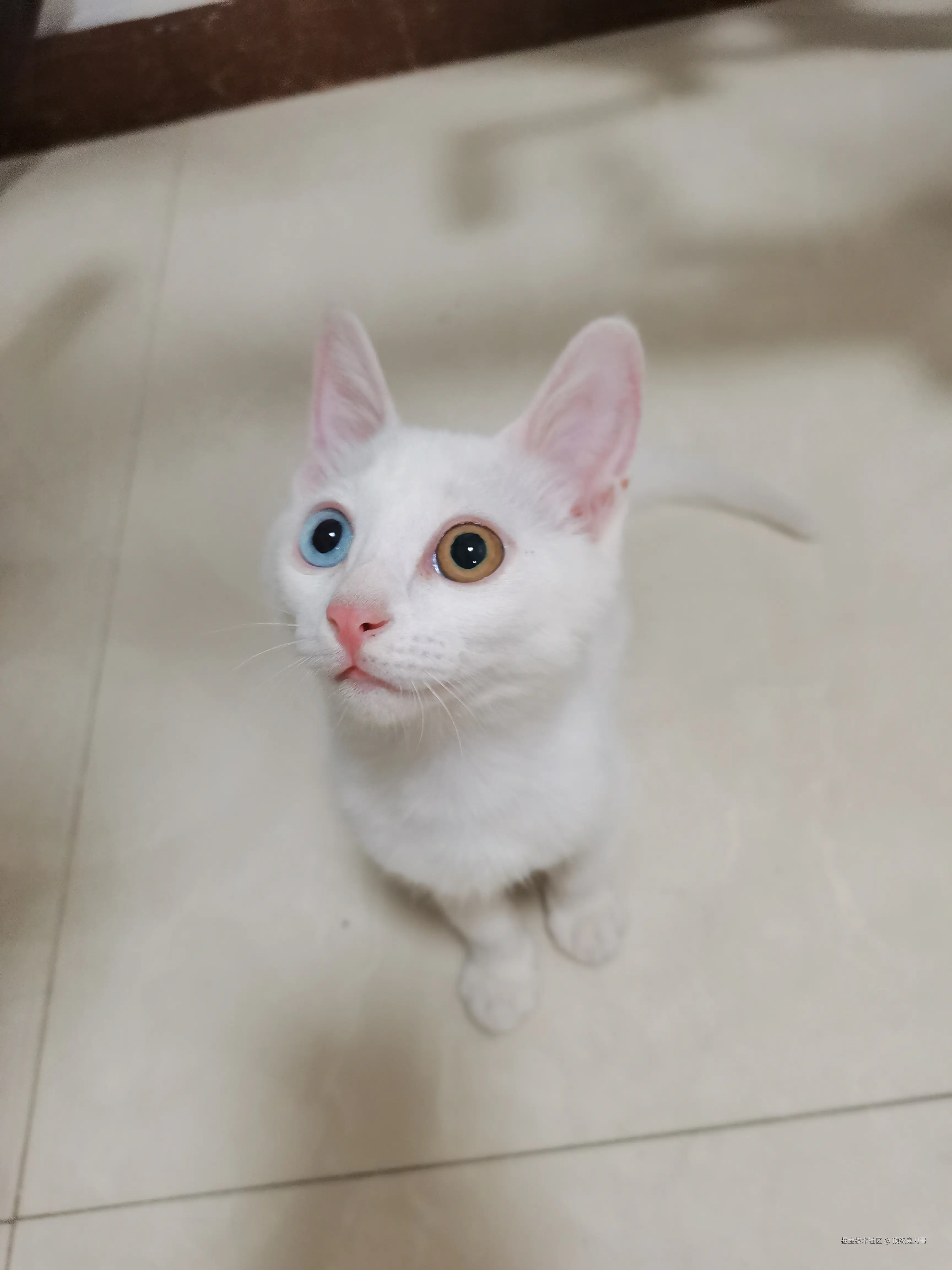 顶级鬼刀哥于2025-09-11 10:22发布的图片