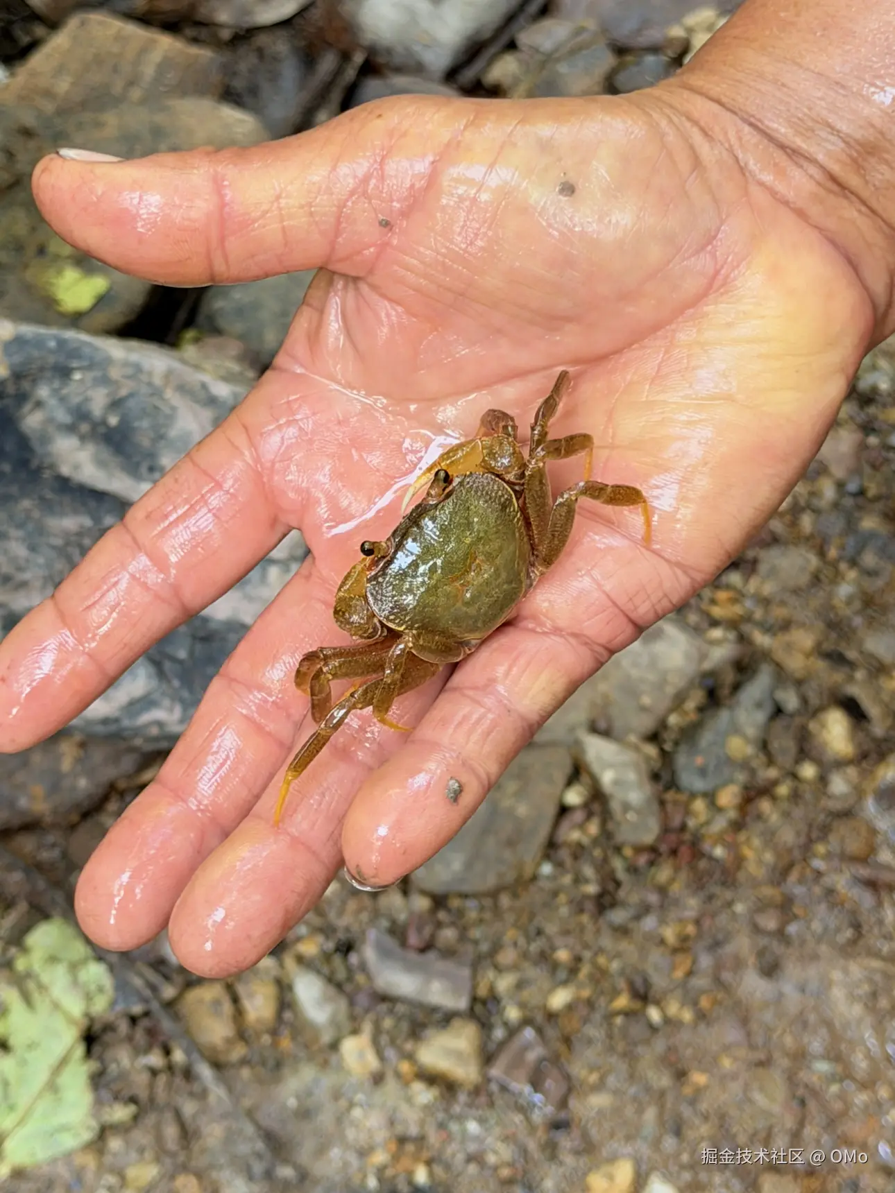 OMo于2026-01-22 11:03发布的图片