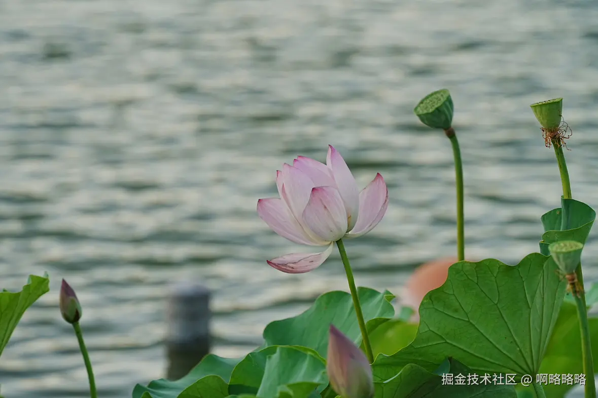 啊略略略于2025-07-07 16:37发布的图片