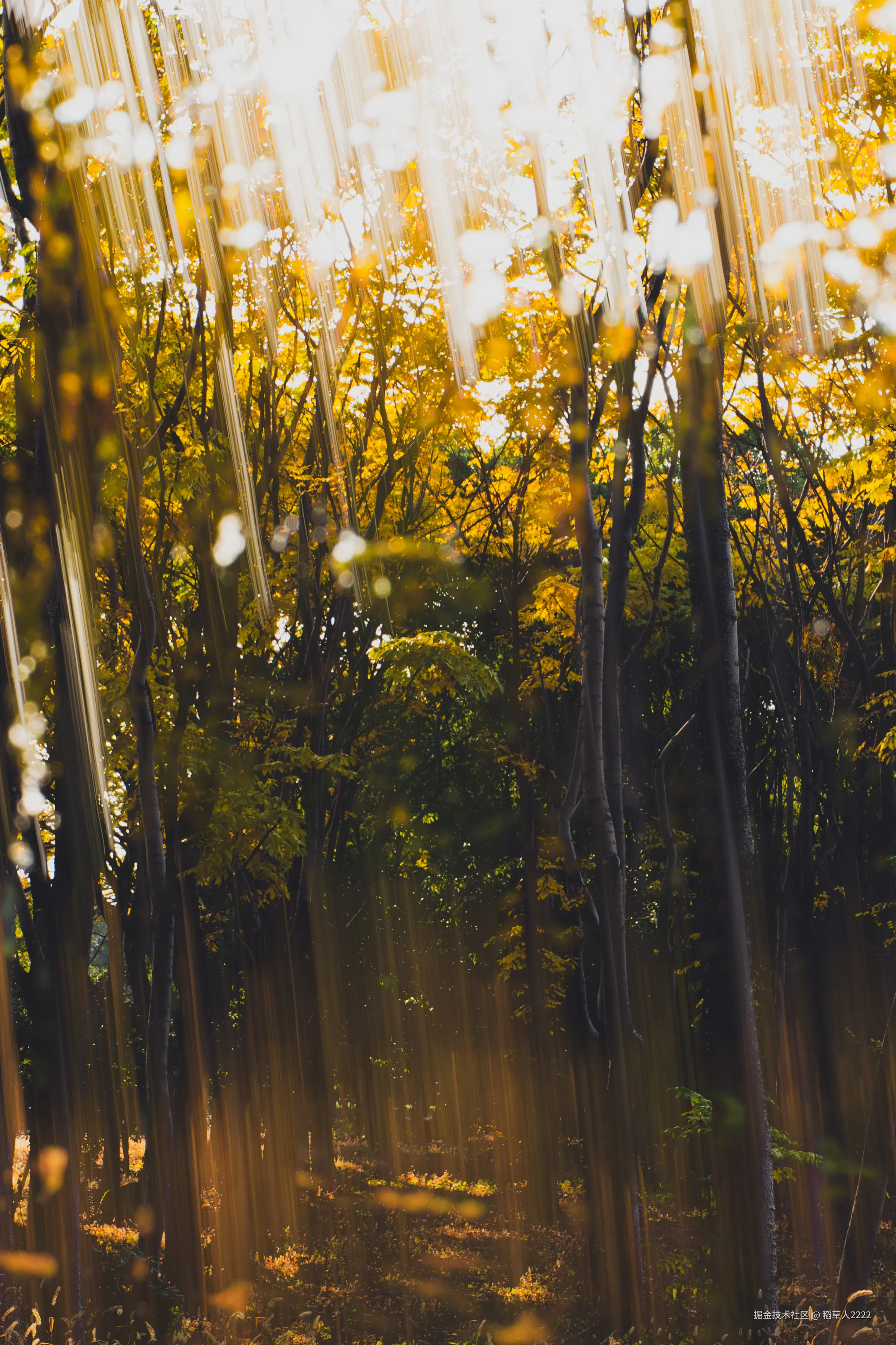 稻草人2222于2025-12-01 10:30发布的图片