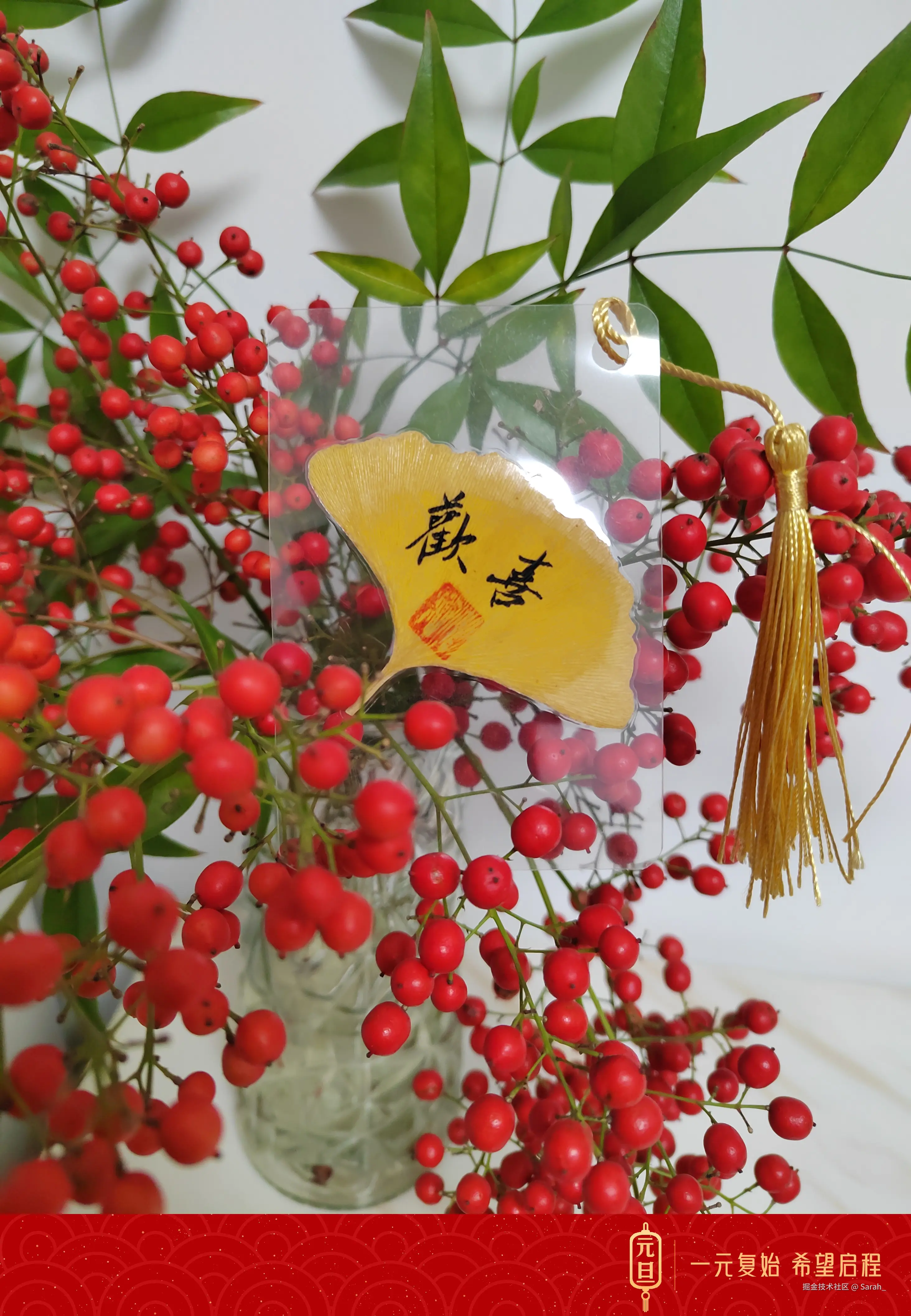 Sarah_于2024-12-31 14:44发布的图片