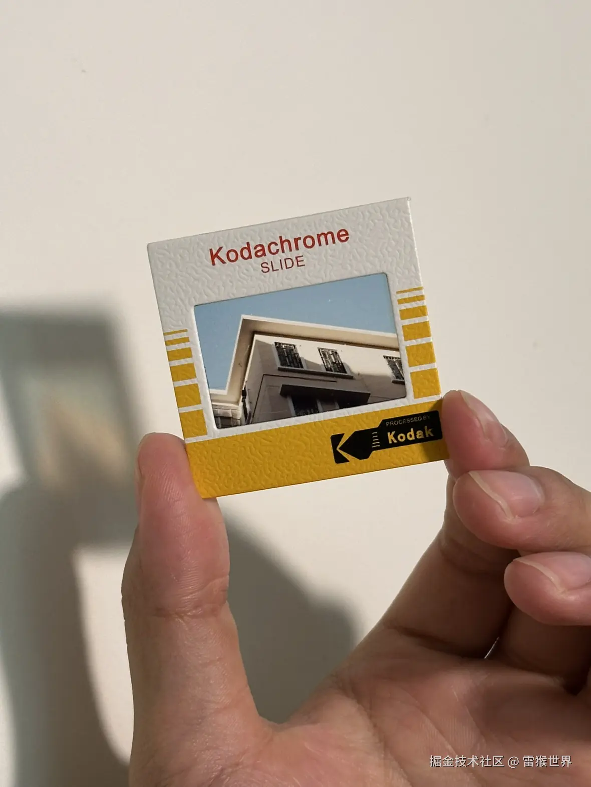 雷猴世界于2025-10-09 15:28发布的图片