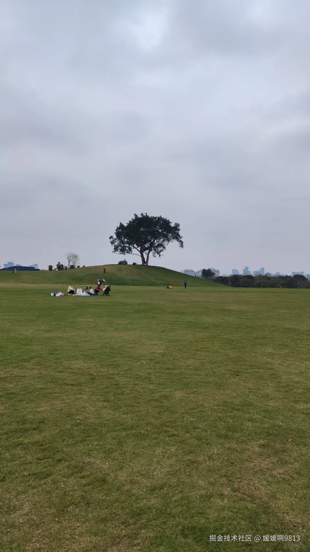 媛媛啊9813于2025-03-11 08:16发布的图片