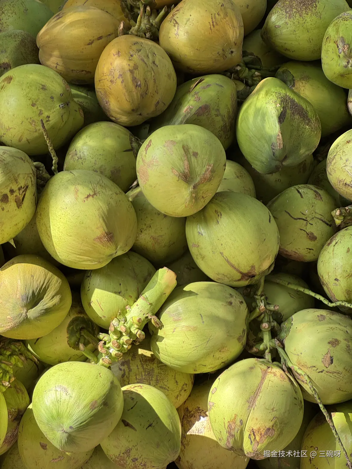 三碗呀于2024-12-09 11:51发布的图片