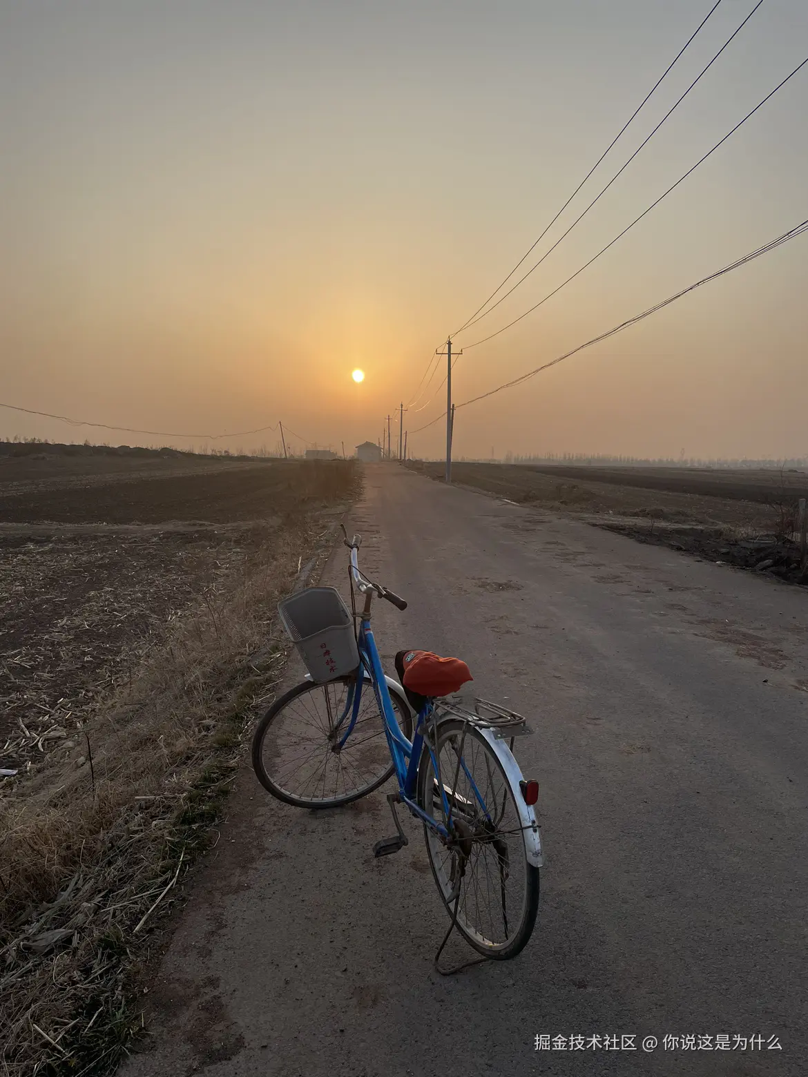 你说这是为什么于2026-02-18 12:12发布的图片