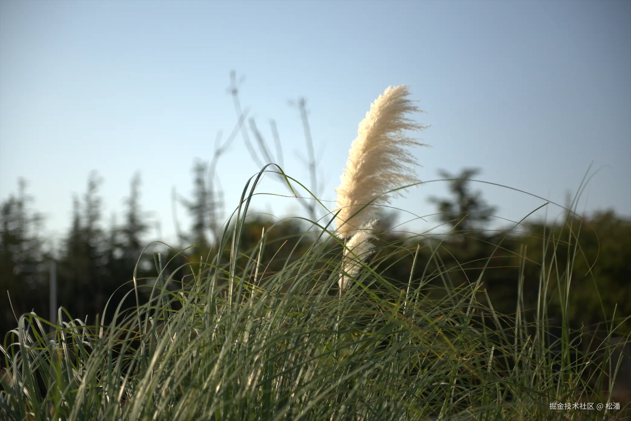 松潘于2024-09-29 13:54发布的图片