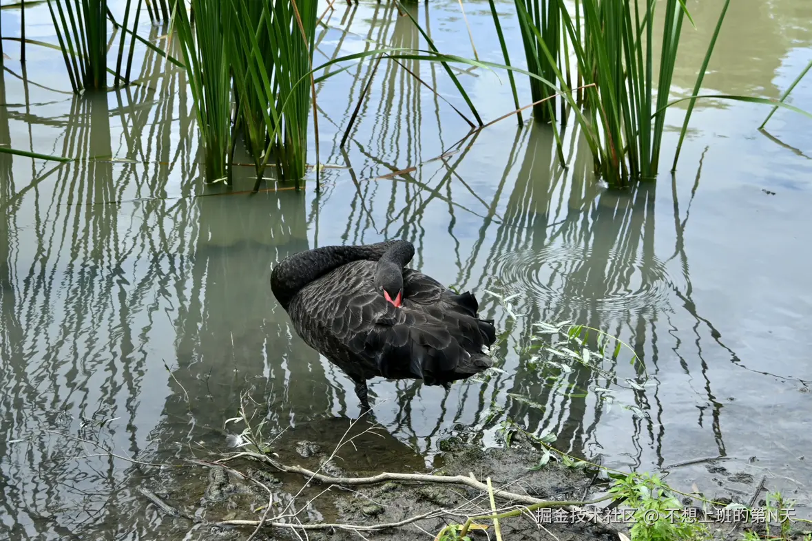 不想上班的第N天于2025-07-21 10:37发布的图片